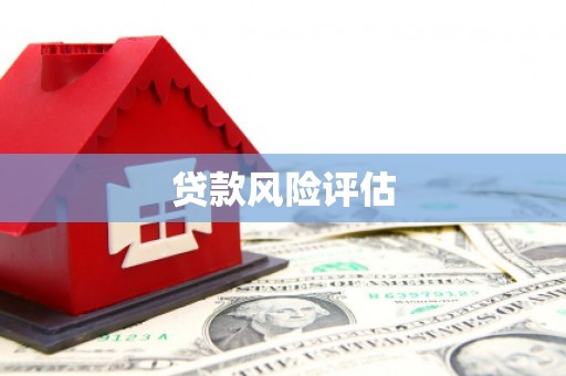 比如贷款风险评估