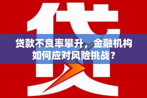 比如贷款不良率攀升，金融机构如何应对风险挑战？