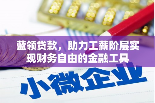 比如蓝领贷款，助力工薪阶层实现财务自由的金融工具