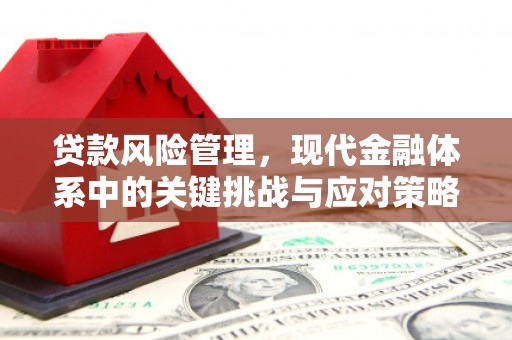 比如贷款风险管理，现代金融体系中的关键挑战与应对策略