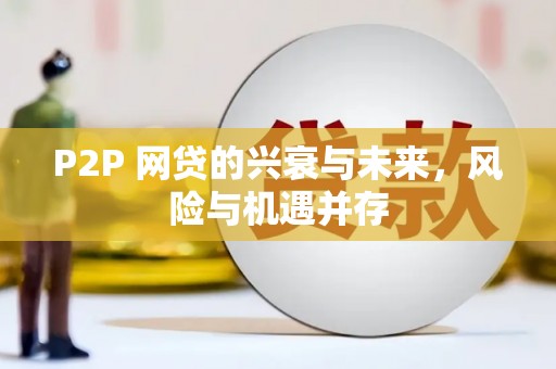 比如P2P 网贷的兴衰与未来，风险与机遇并存