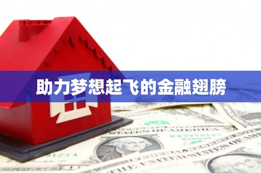 比如助力梦想起飞的金融翅膀