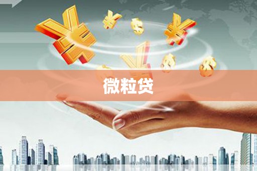 比如微粒贷