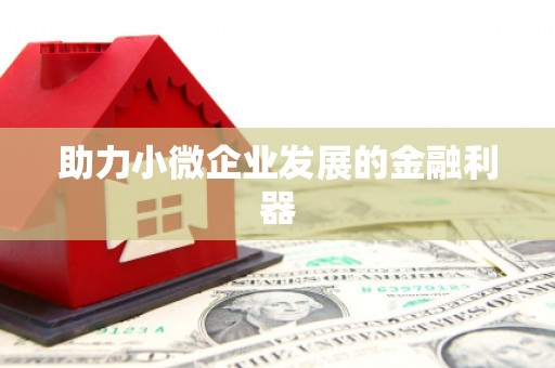 比如助力小微企业发展的金融利器