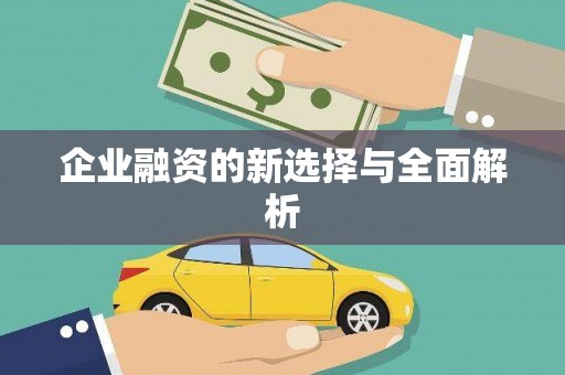 比如企业融资的新选择与全面解析